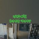 덕성식당 | 홍성 맛집 전현무계획2 냉삼 덕성식당 단골 후기