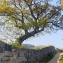 북평 달량진성 이미지