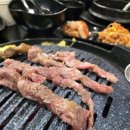 꼴통갈매기