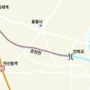 명품꽃마을 Daum카페