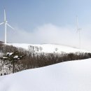 바람개비 이미지