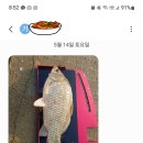 신원낚시터 이미지