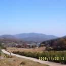 죽엽산농장 Daum카페