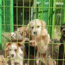 천사의집 이미지