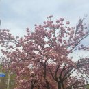 어곡초등학교 이미지