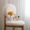 미모사패션 | 데일리로 쓰기 딱인 지속력 좋은 향수, 미모사 &amp; 베르가못 레이어링