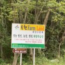 옥천군동이면석탄보건진료소 이미지