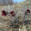 부용길1 이미지