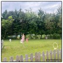 제부 포레스트 이미지