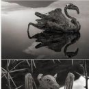 호수세탁소 이미지