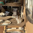 영이네민박 이미지