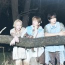 샤이니
