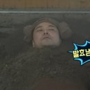 순환좋은효소