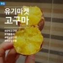 만이농장 | 겨울음식 고민될 때 집에서 먹은 고구마 유기마켓 후기