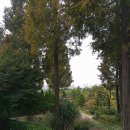 푸른수목원 이미지