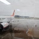 한천파크골프2구장 | [일본 겨울골프 여행] 2026 예약 1위! 이바라키 윈저파크 CC 완벽 공략 &amp; 2인 라운딩 올포함 패키지 후기