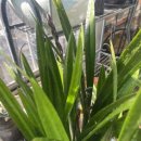 재관농장 이미지