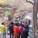 셀카인드 Daum카페