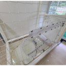 가평키즈풀빌라더626 이미지