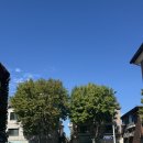 일산로358번길 이미지