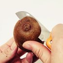 썬 이미지