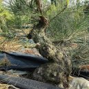 한솔농원 이미지