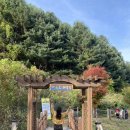 산소길 | 화천여행 백암산케이블카 산소길 파로호 거례리 사랑나무
