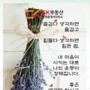 공단화장품 이미지