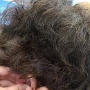 그린의료기 이미지