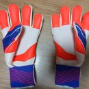 에이스존 이미지