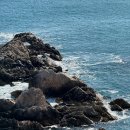 엘마르펜션 이미지