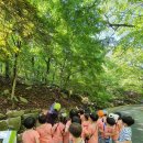 꿈바위 유치원 이미지