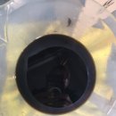 트러스티 오일 이미지