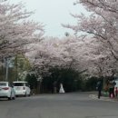 대흘소공원 네이버블로그