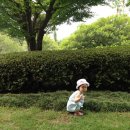 신라샘2 네이버블로그