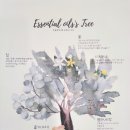 태리_도테라