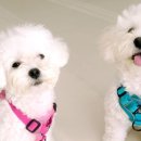 강원카공업사 이미지