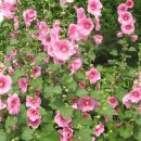 낙동강변로3-3 이미지