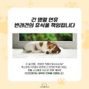 독스하트 구리 이미지