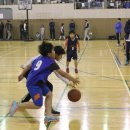 강남스포츠문화센터 대체육관 이미지