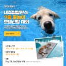 내추럴발란스
