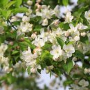 성균농장 이미지