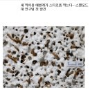 탑티어PC 이미지