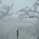 해미 오름산악회 1월13~14일 한라산 눈꽃산행(1박2일) 이미지
