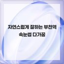 다, 가꿈