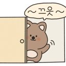 콜코리