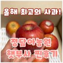 운림골농원(달달한레시피) | 햇부사 사과 리뷰｜정담아농원 프리미엄 부사사과 솔직 후기와 새로운 사과 레시피 추천