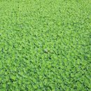 미강세탁 이미지