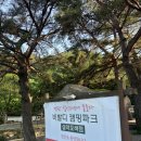 가족 캠핑장 추천 "비발디캠핑파크 설악오색점" (계곡·넓은 사이트·캠핑+캠핑하우스🏕️·명당추천까지)