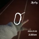 단조로운 일월